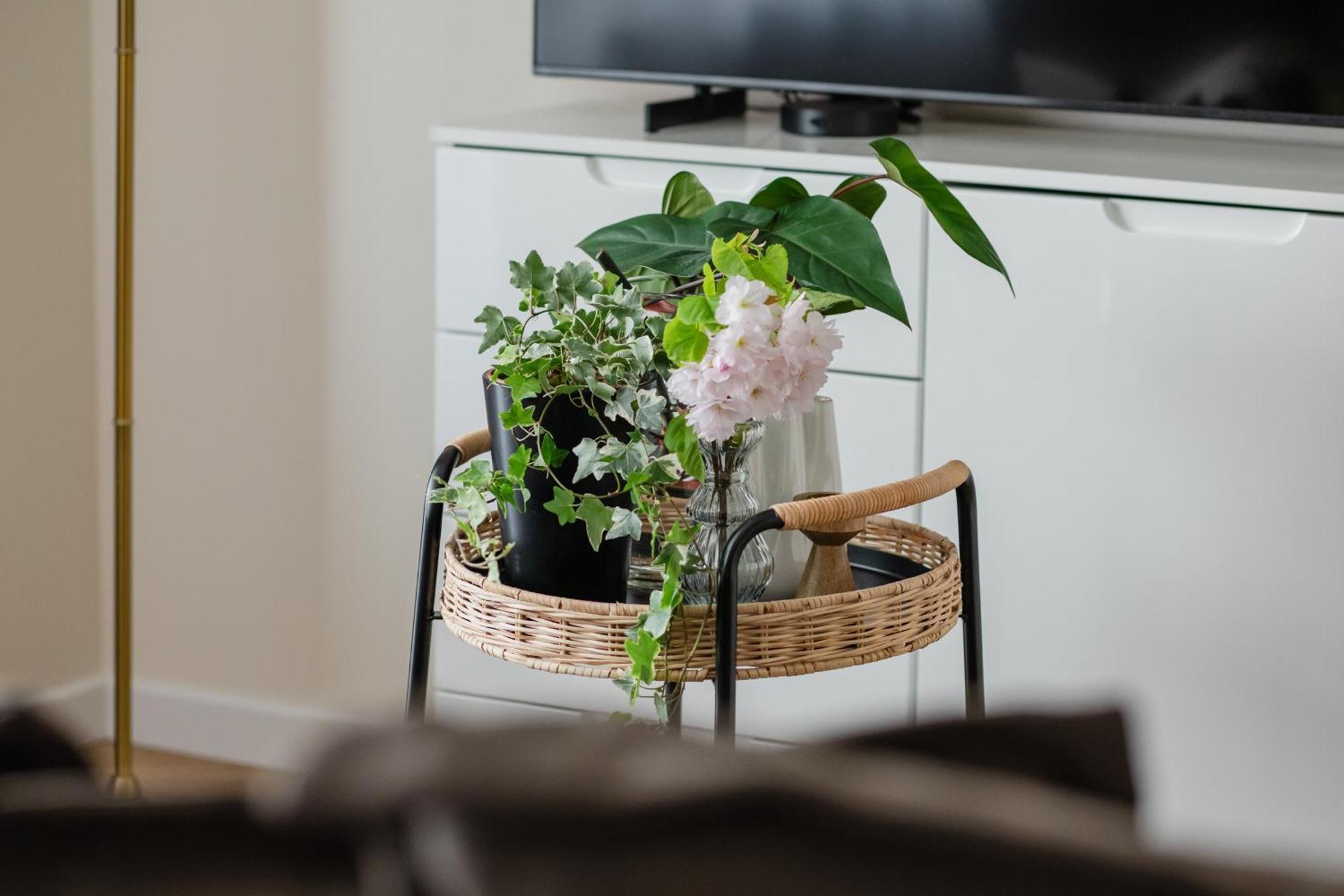 Ts Gold New Town Apartment & Free Private Parking Stettino Esterno foto
